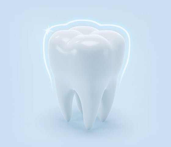 Tooth Model 3D Illustration
